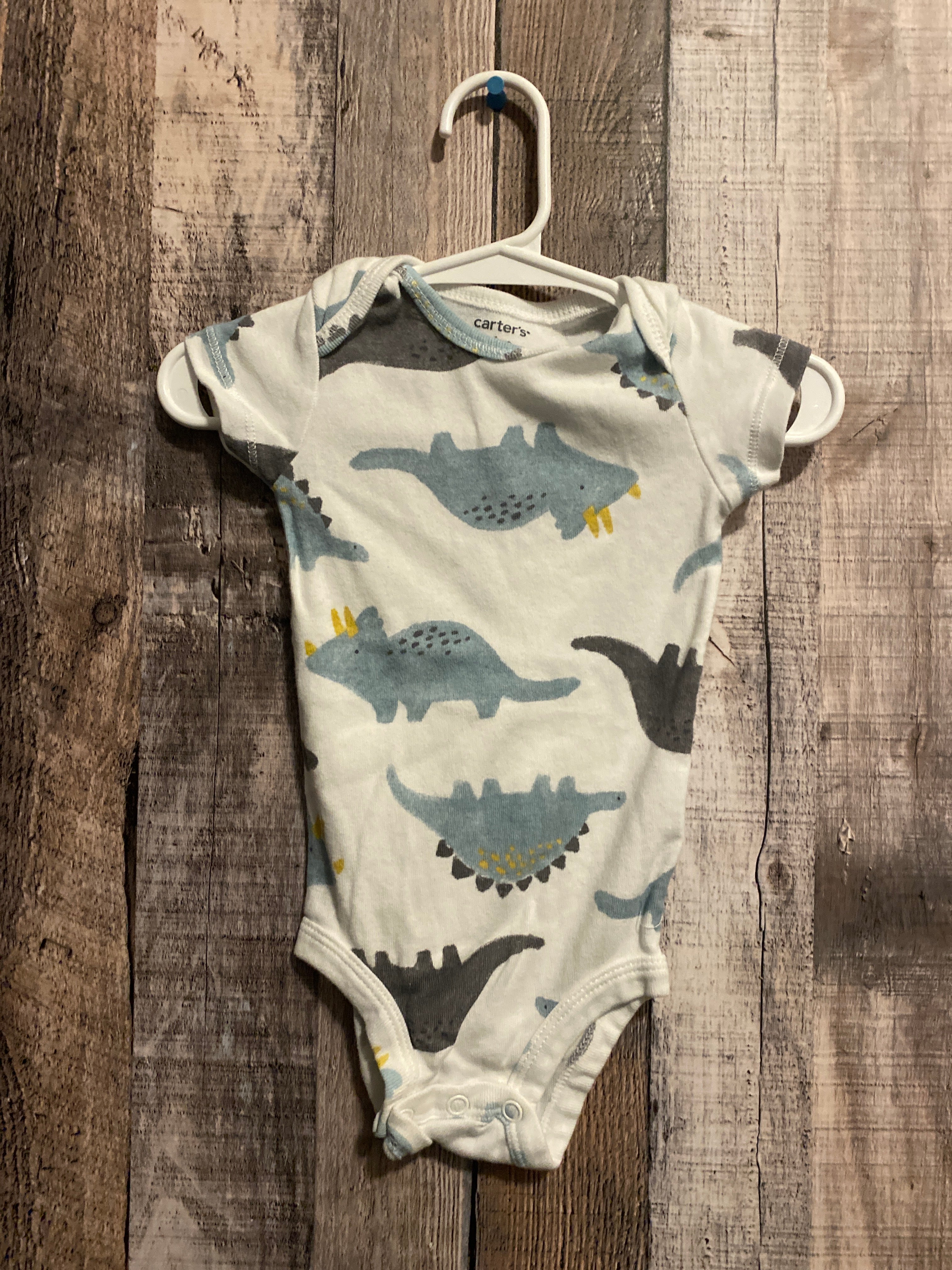 6 Month Onesie