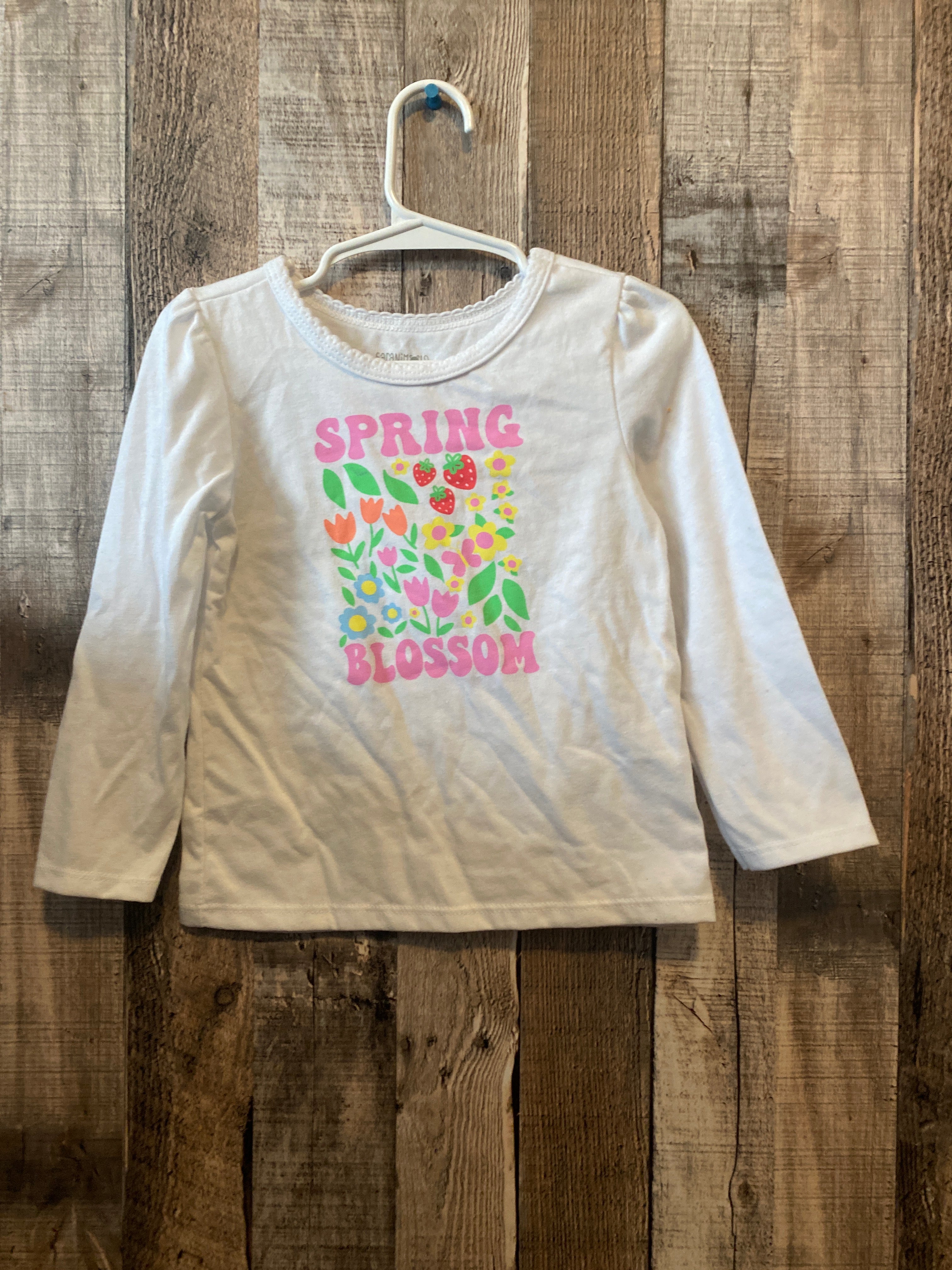 Garanimals 2T Long Sleeve