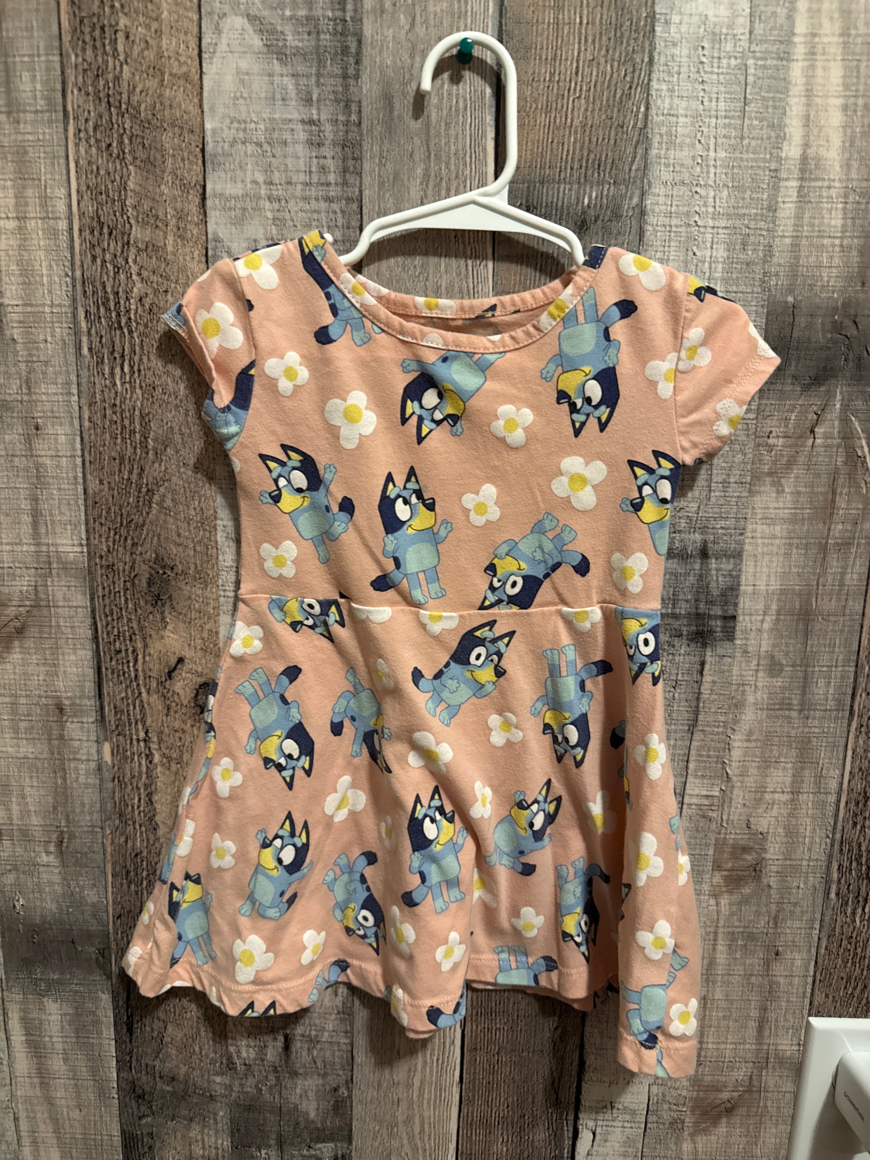 2t dress