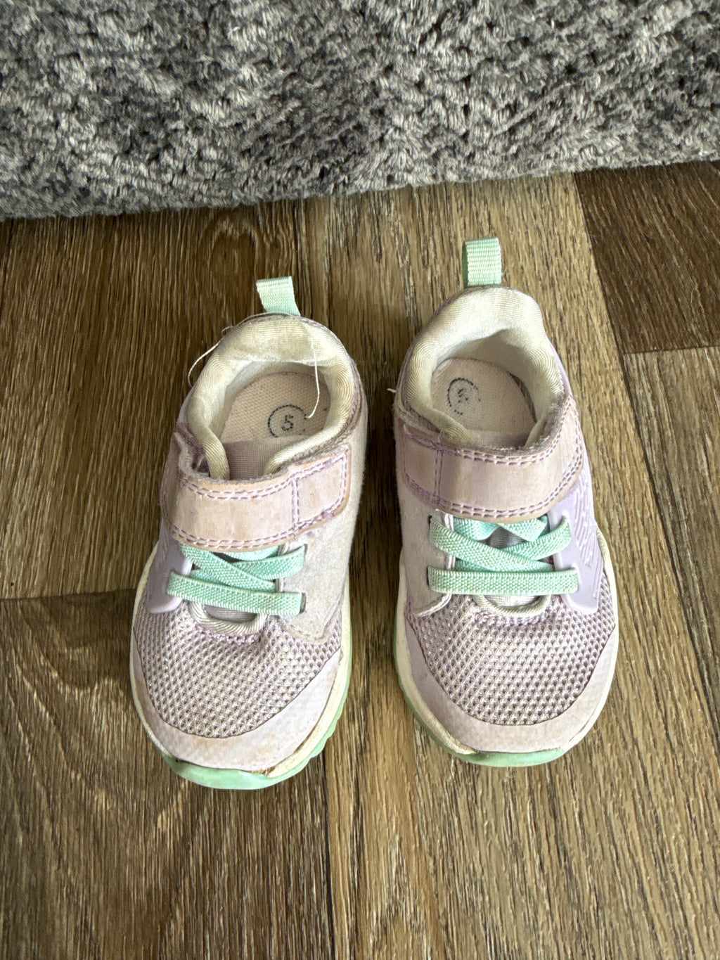 Toddle size 5