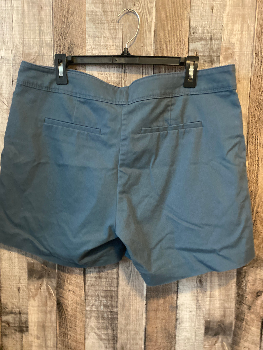Isaac Mizrahi Size 14 Shorts