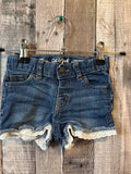 2T Shorts