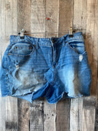 Time And Tru Size 12 Shorts