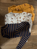 Newborn set of 3 onesies