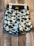 3T Swim Trunks