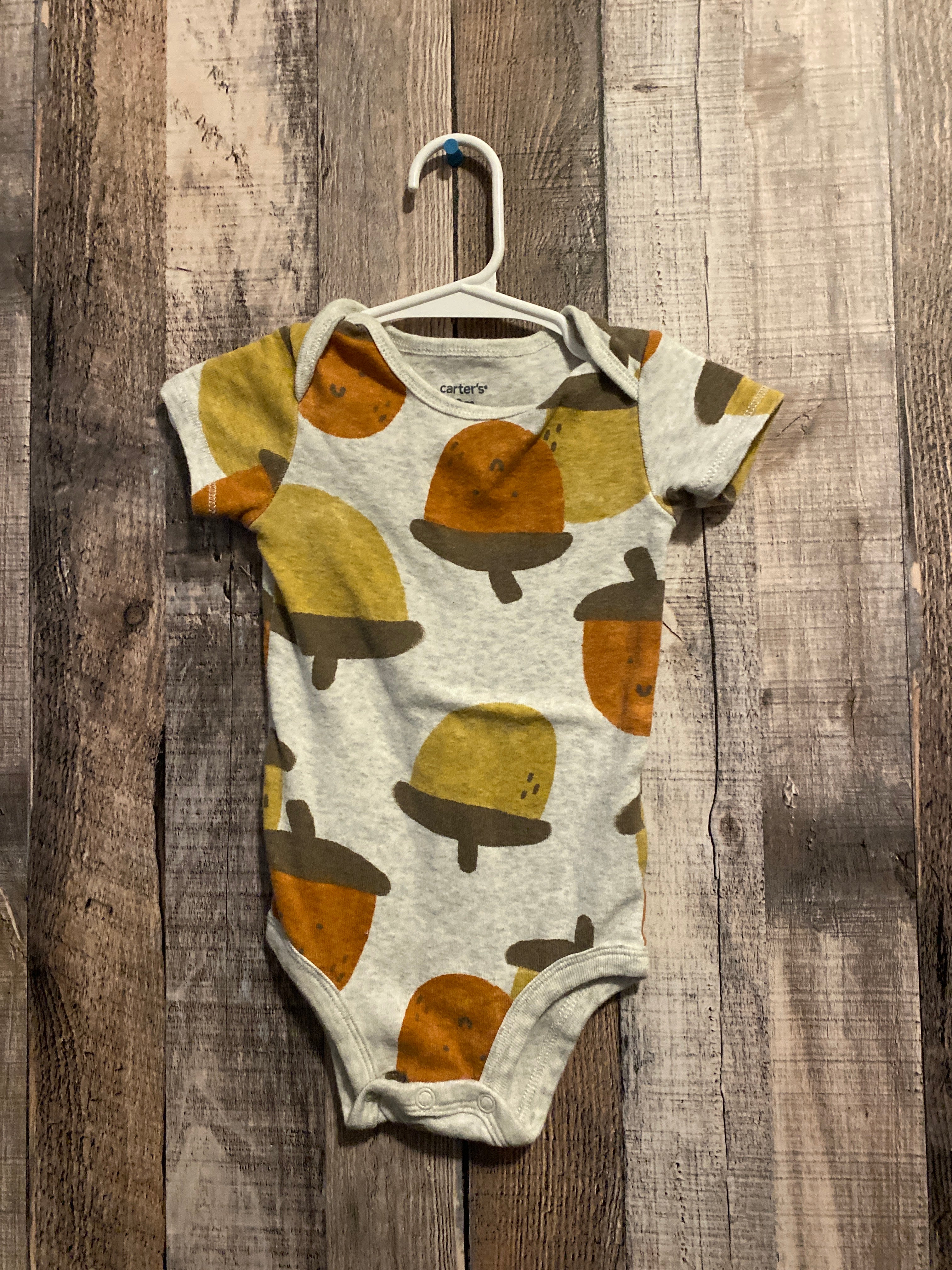 9 Month Onesie