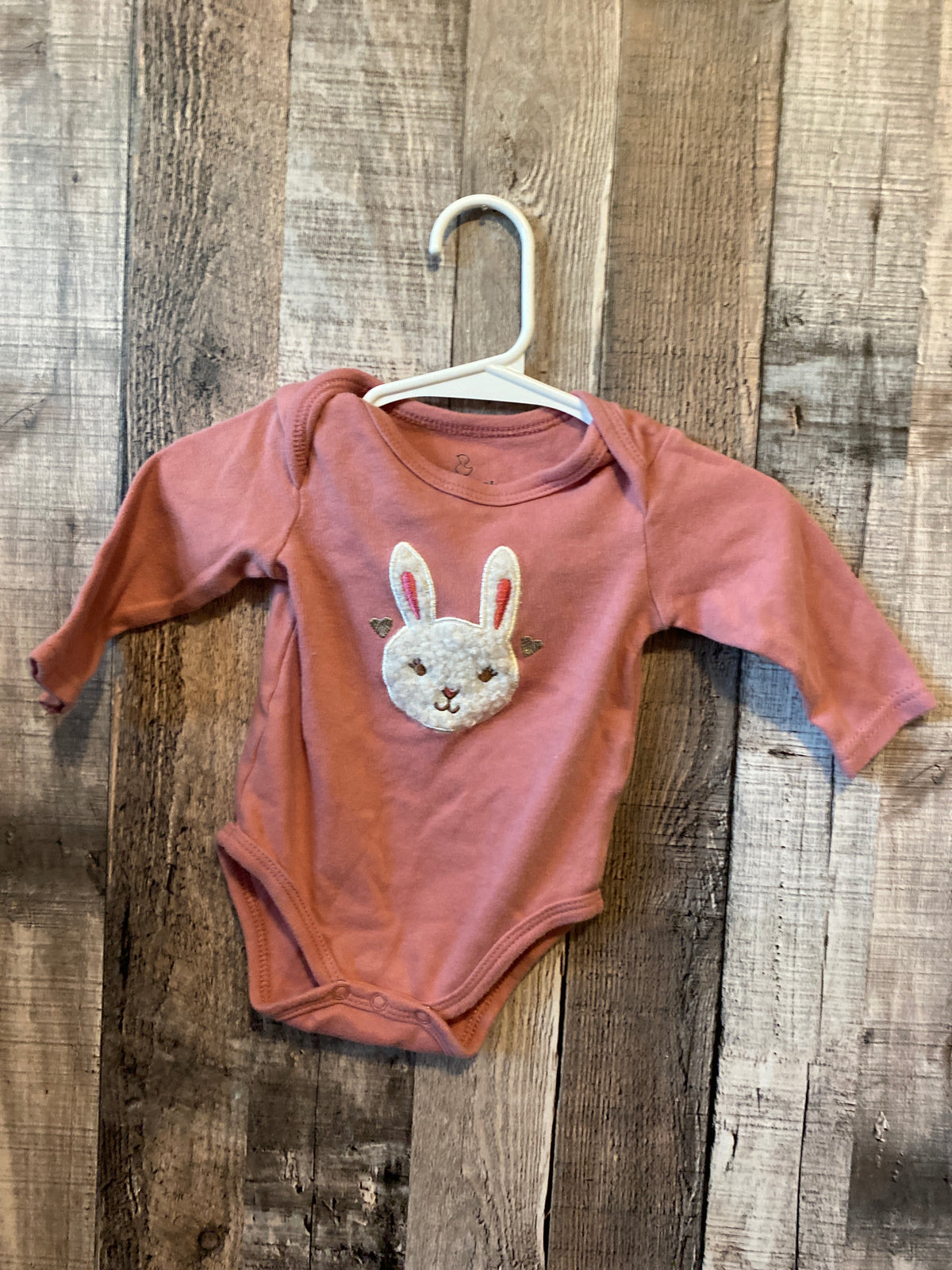 Duck-Duck Goose 0-3 Month Onesie